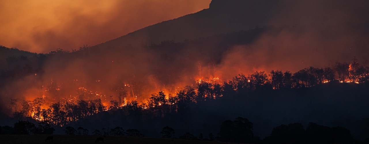 Smoke On The Horizon – How To Protect Your Lungs